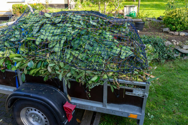 Best Mattress Disposal  in Lambertville, NJ